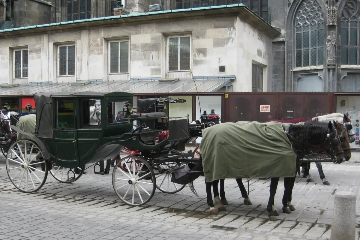 Découvrez l'histoire des taxis parisiens au XXᵉ siècle, de leurs origines à l'arrivée des véhicules modernes et des technologies de réservation.